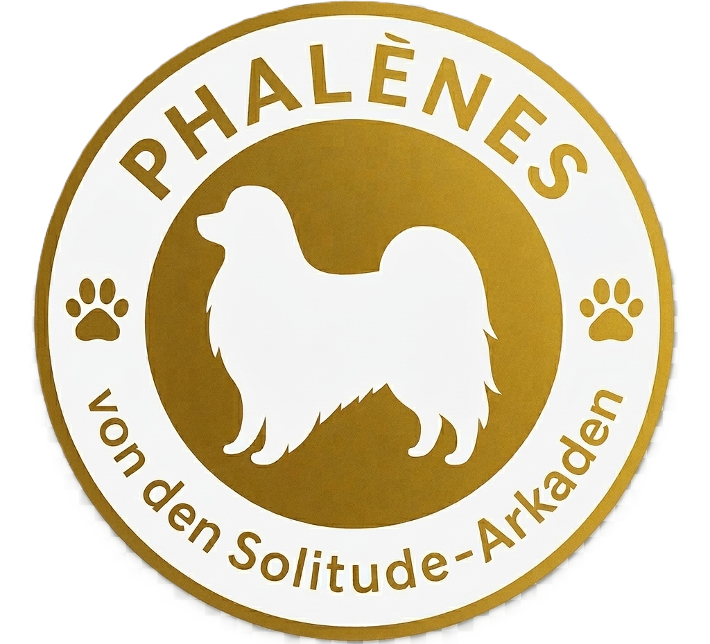Phalènes Zucht von den Solitude-Arkaden